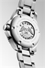 LONGINES L33704876 L33704876 - фото 11791