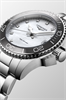 LONGINES L33704876 L33704876 - фото 11796